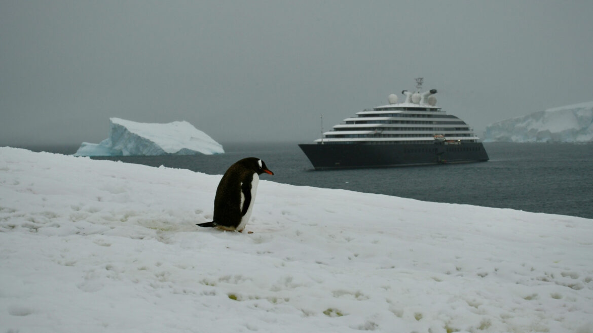 Polarfront : l’expérience intime d’une croisière polaire en petit comité