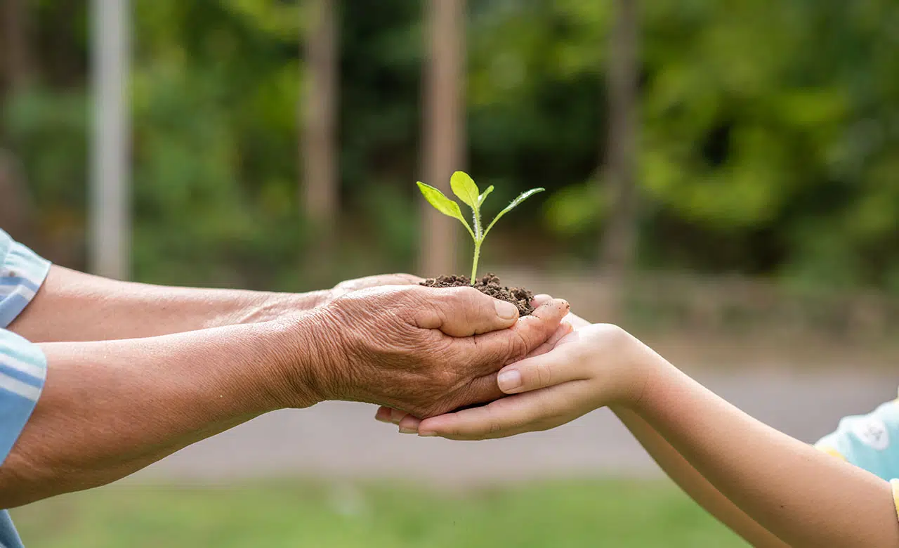 sont les écoles qui forment dans les nouveaux métiers de l’écologie