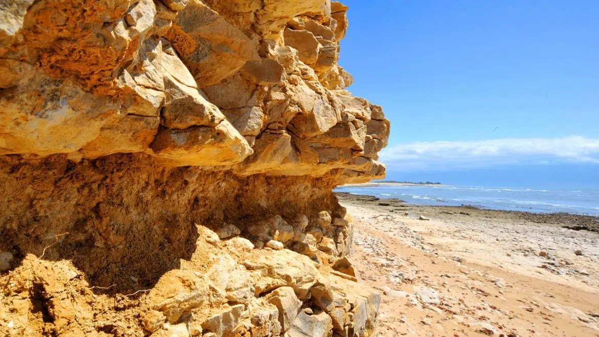 Un camping à l'île de Ré situé au creux des vagues vous accueille